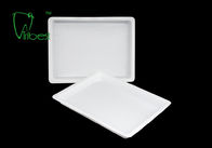 White 6g/Pc 20.6x15.5cm Plastic Dental Tool Tray