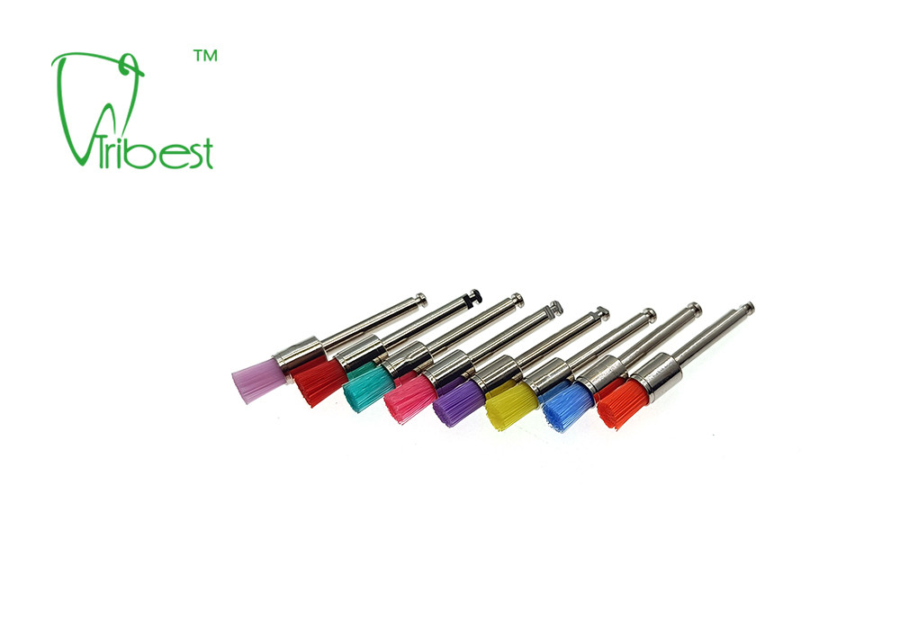 Teeth Polishing Brush Nylon Brush Pencil Flat Dental Polishing Kit
